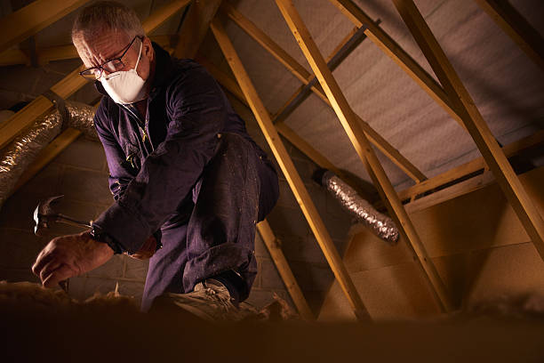 Best Insulation Materials and Products in Corcoran, MN